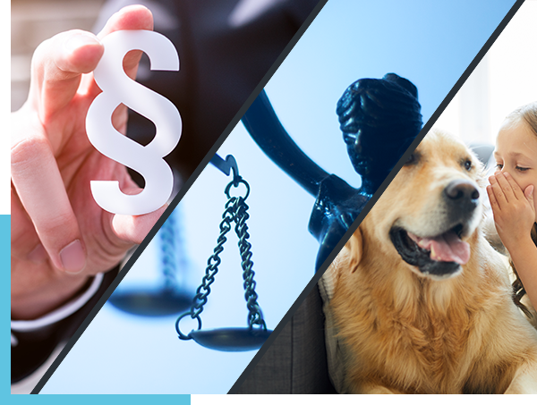 schräg dreigeteiltes Bild – links eine Hand hält ein §-Zeichen, in der Mitte angeschnitten eine Skulptur der Göttin Justitia, rechts flüstert ein Mädchen einem hellbraunen Golden Retriever etwas ins Ohr